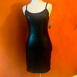 NWT Wild Fable Iridescent Dress - Eras Tour Outfit